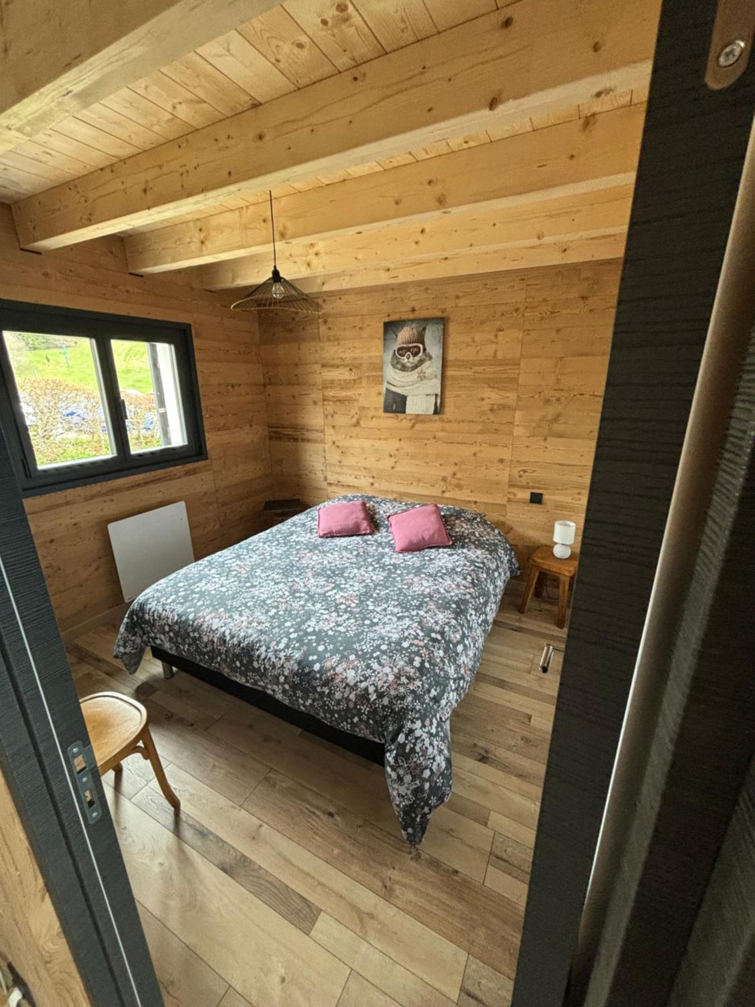 Chalet Le Bisolet 莱代塞尔 外观 照片
